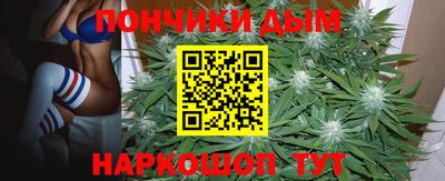 амф Севастополь