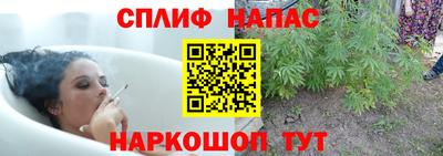 амф Севастополь